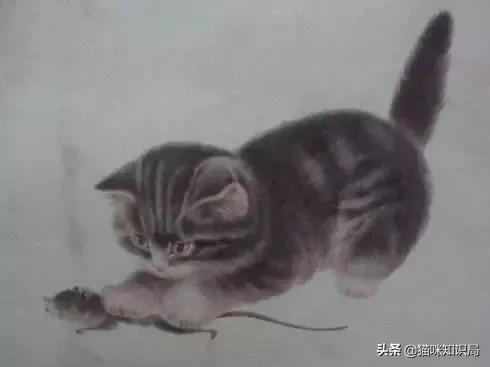 南宋哪位诗人爱养猫曾为猫写诗,南宋哪位诗人养猫还为猫写诗