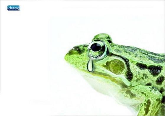 十大名牌安全套的区别,十二品牌安全套价格