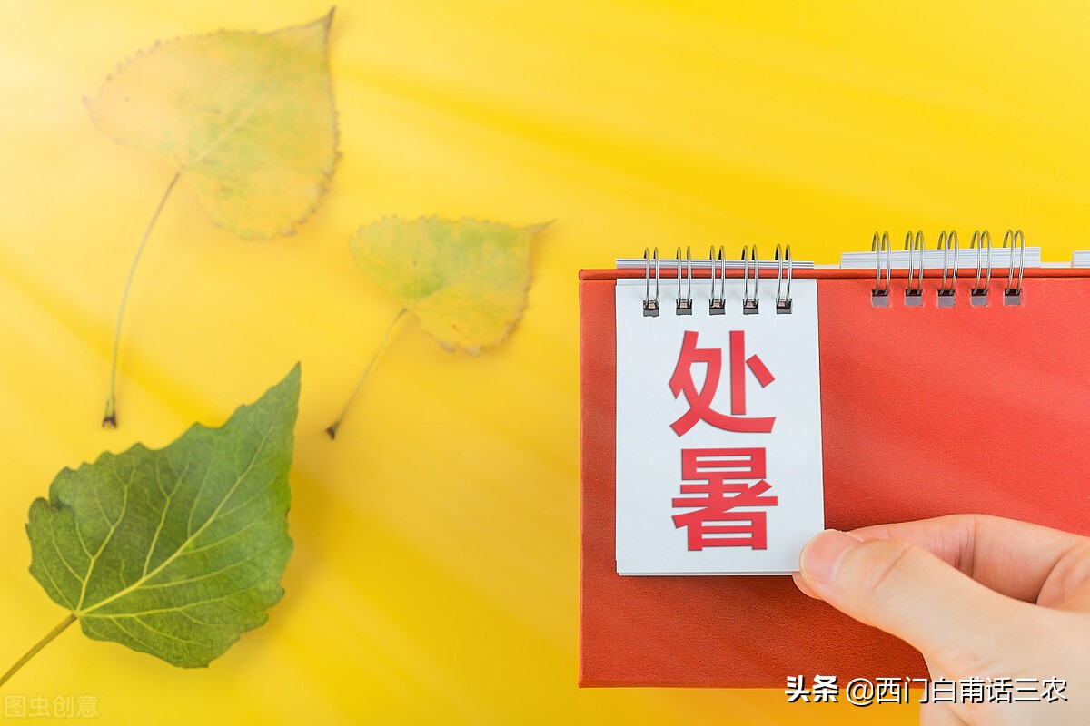 处暑之后天气咋样了呀,处暑不下雨是什么预兆