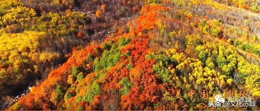 喜大普奔奔小康,喜大普奔可喜可贺