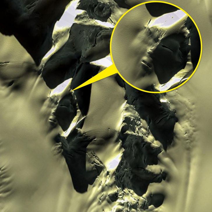 南极发现神秘洞穴图片,谷歌地图上发现的神秘外星人生物