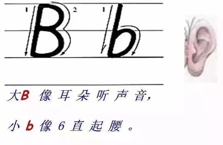 教英文字母书写技巧图文,英语字母书写规范及完美英文字帖