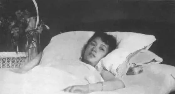 林徽因师徒与景泰蓝的生死情缘,林徽因设计的景泰蓝叫什么