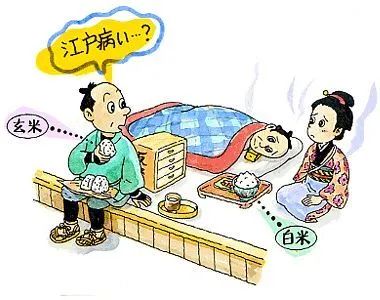 柴米油盐酱醋茶细细品尝,日本人用稻米油