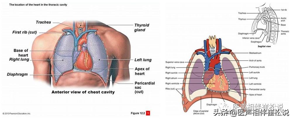 “万恶的”胸痛之七大疾病（上）