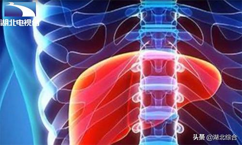 慢性乙肝临床治愈和彻底治愈,慢性乙肝防治指南之治疗篇