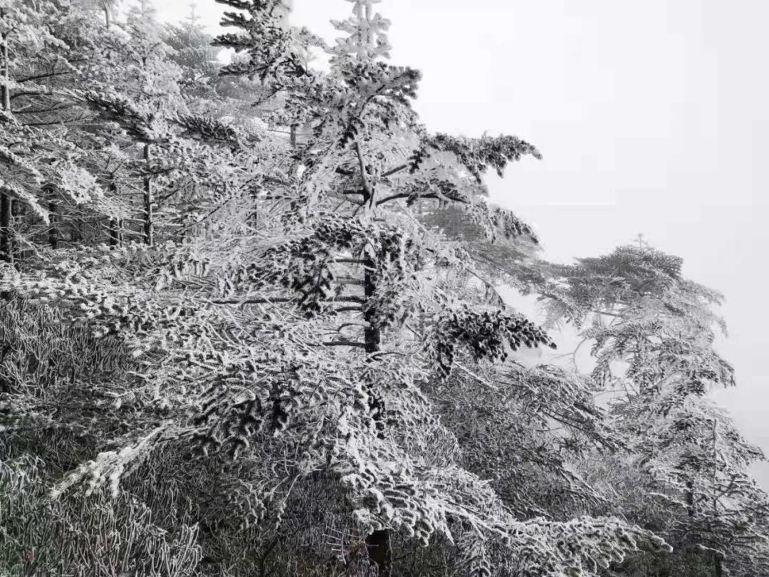 大寒潮小寒潮,寒潮带来大范围降雪
