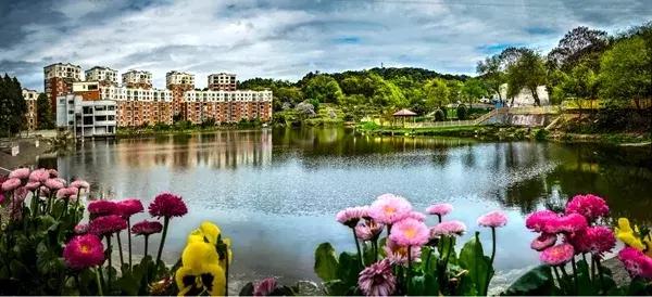 我说龙泉驿，你说好安逸！这座城的命运，正被幸福改写