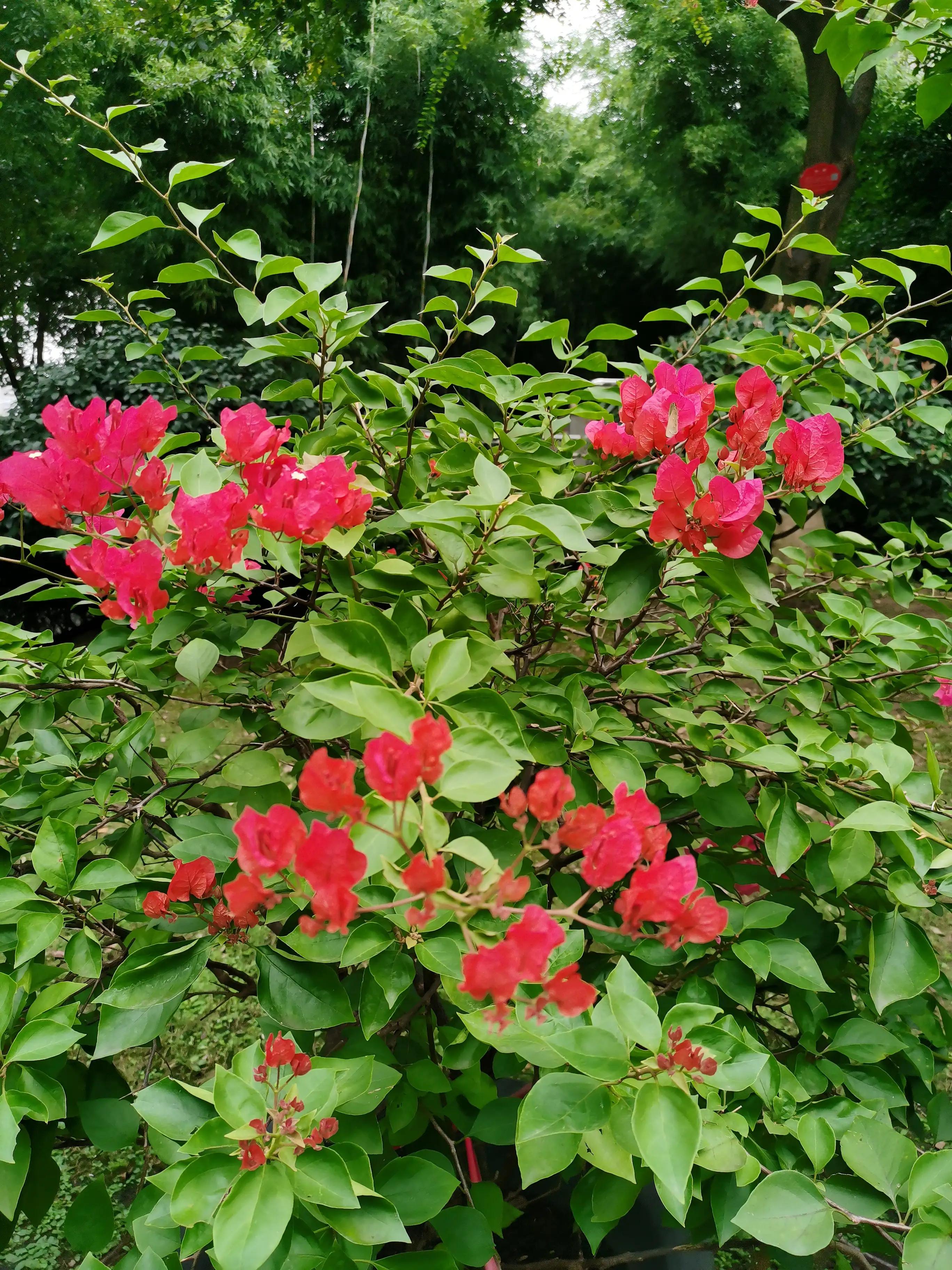 武汉洪山广场美食,武汉洪山广场附近有什么好玩的