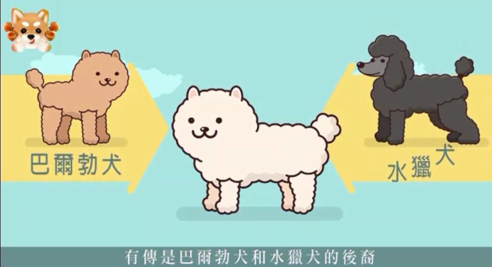 鍒樿瘲璇楁瘮鐔婄姮,鍒樿瘲璇楁瘮鐔婄姮鍥剧墖