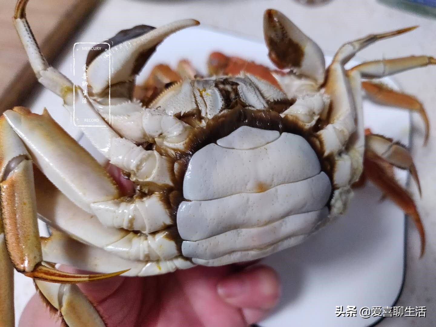 煮螃蟹要把鳃清理掉吗,为什么煮螃蟹蟹黄会流出来