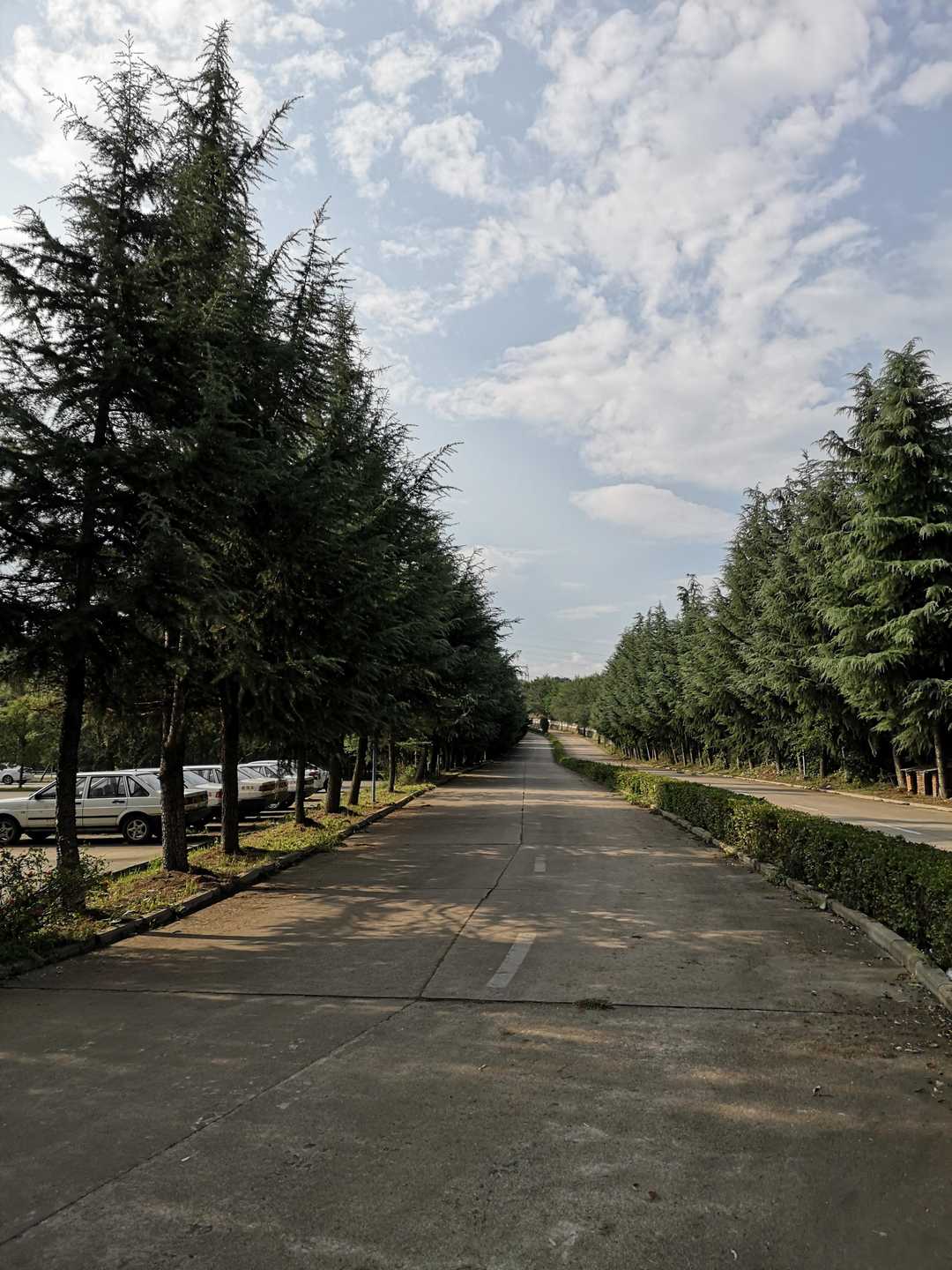 学驾照多少钱,学驾照全部教程