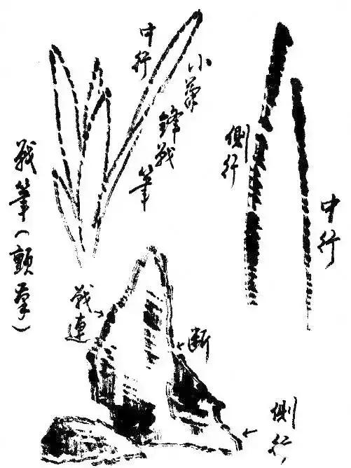 学会笔锋的正确方法,笔锋笔顺怎么练