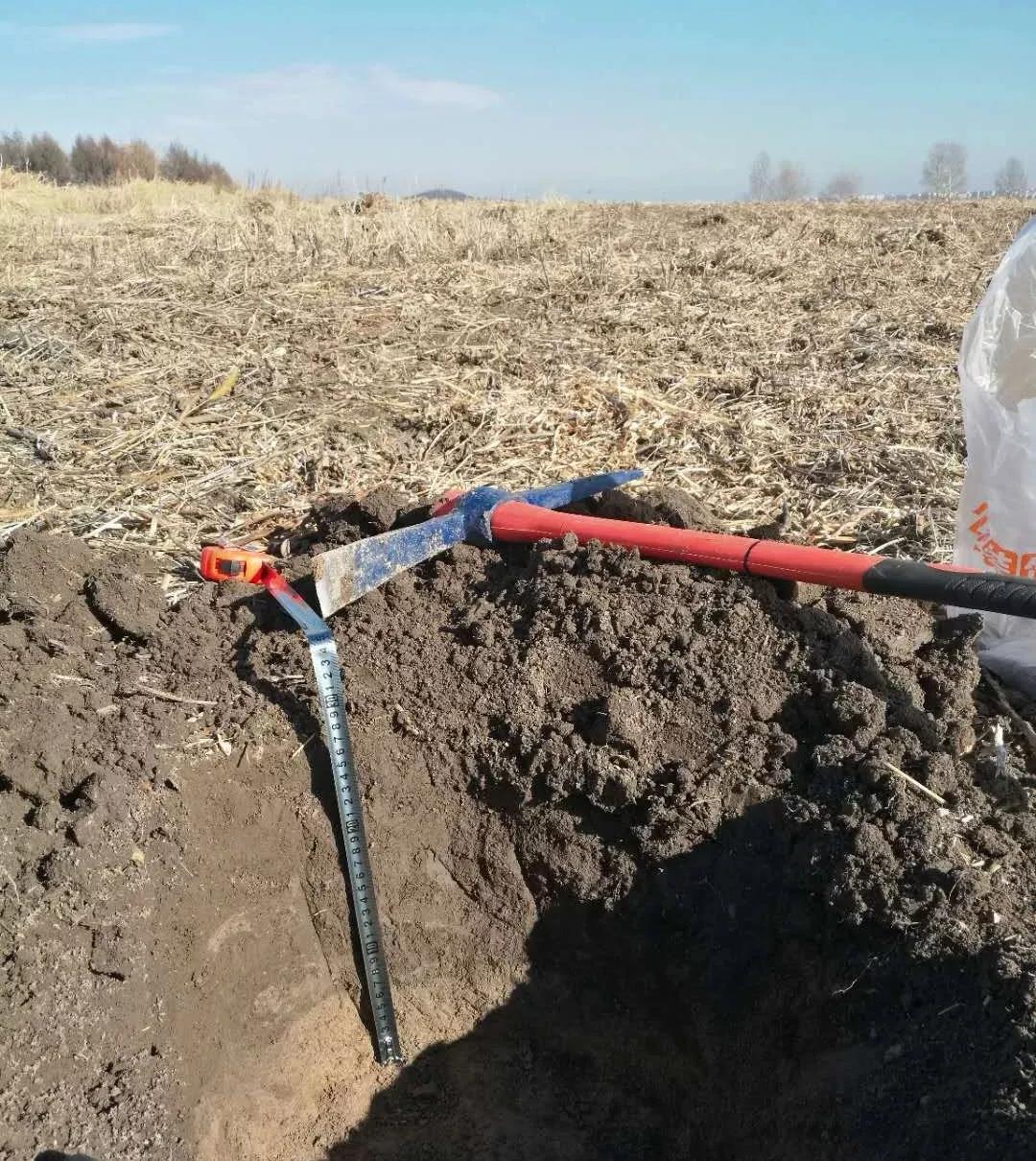 让农业回归原生态,呼唤传统农业回归