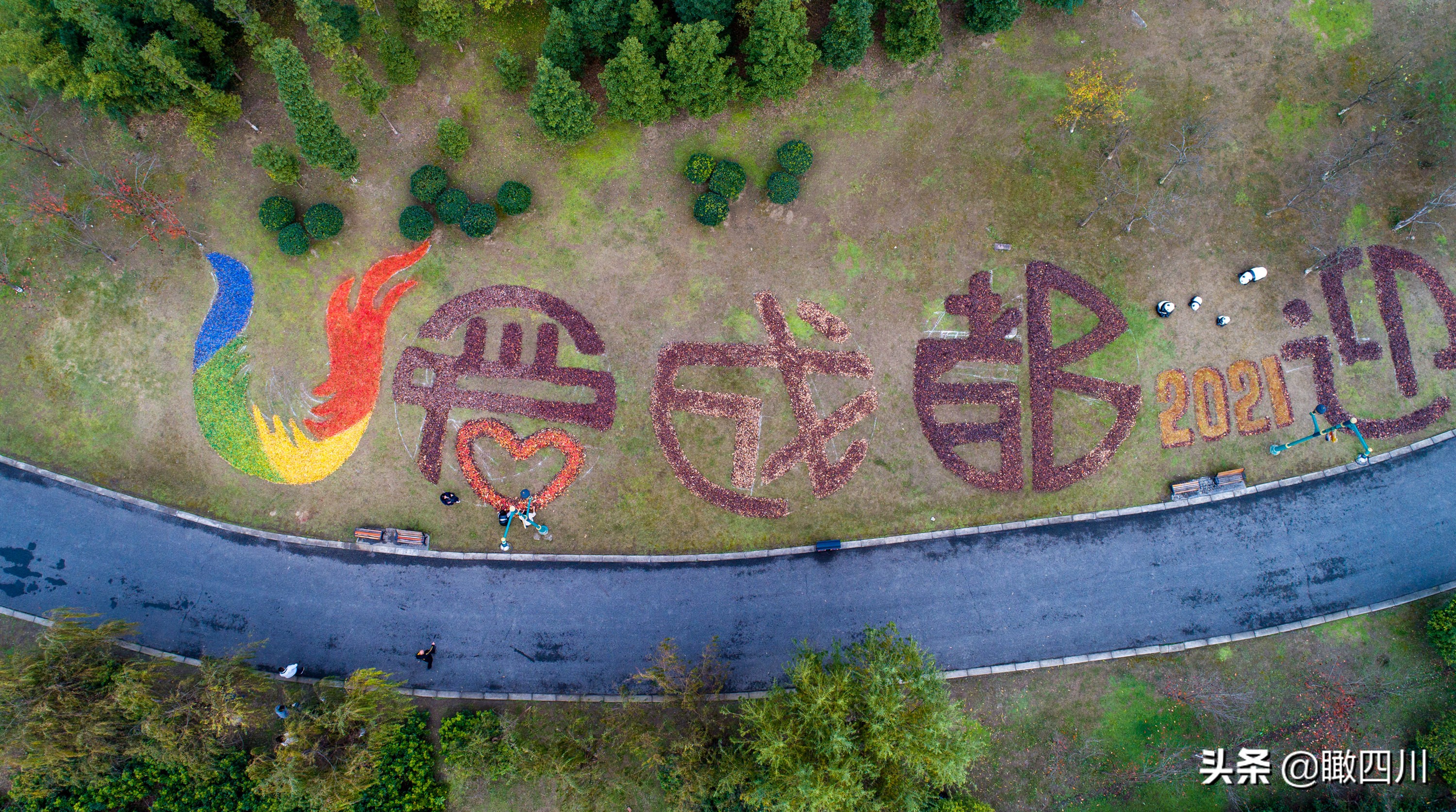 关于环卫工人的绘画作品,环卫工人落叶画