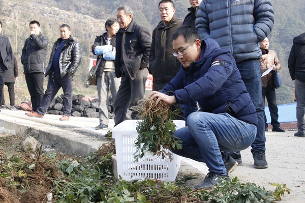 太极集团唐华近况,全国脱贫攻坚先进个人荣誉称号