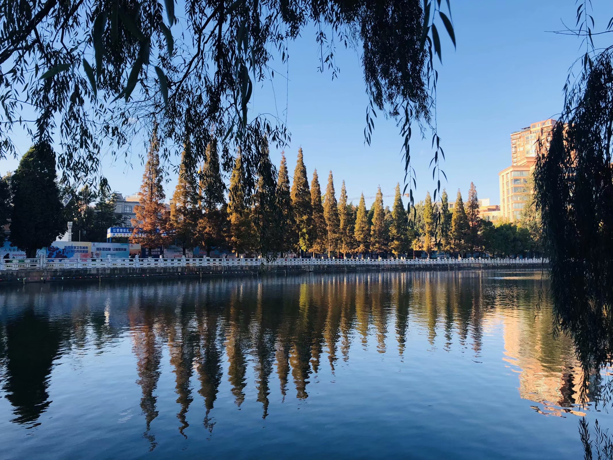 我眼中的昆明,昆明春之城