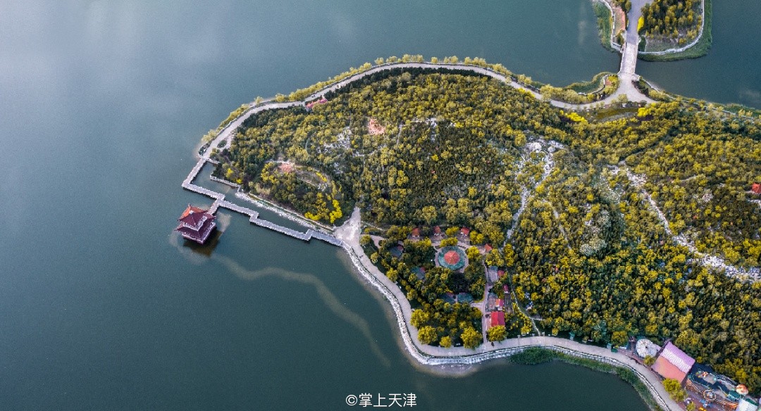 天津南大港乙烯项目,天津最南大港