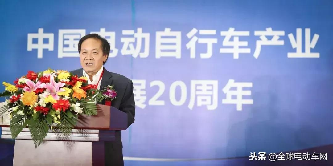 电动车行业新国标2024,新政策下电动车行业前景