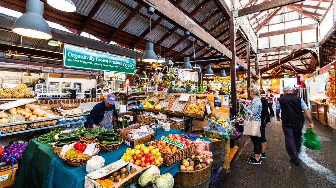 澳洲海外游学，我最推荐这座城市