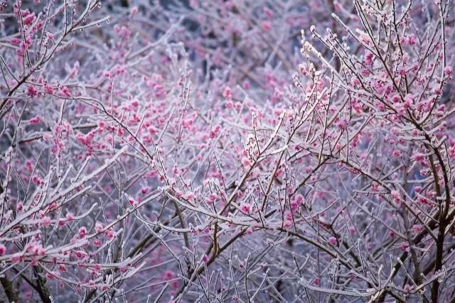 赞美大美中国的诗句,关于祖国大好河山的诗句有哪些