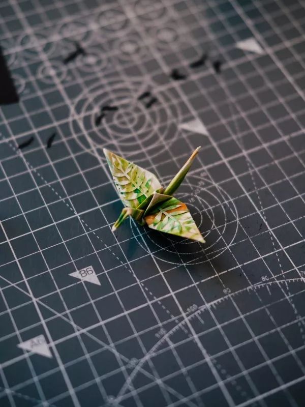 1000天1000只纸鹤,他折的纸鹤让自己走出抑郁……