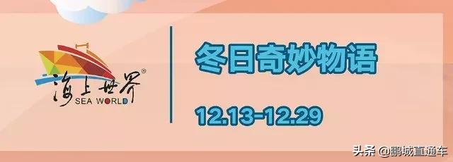 圣诞节深圳白天哪里有活动,2023深圳圣诞节有什么活动吗