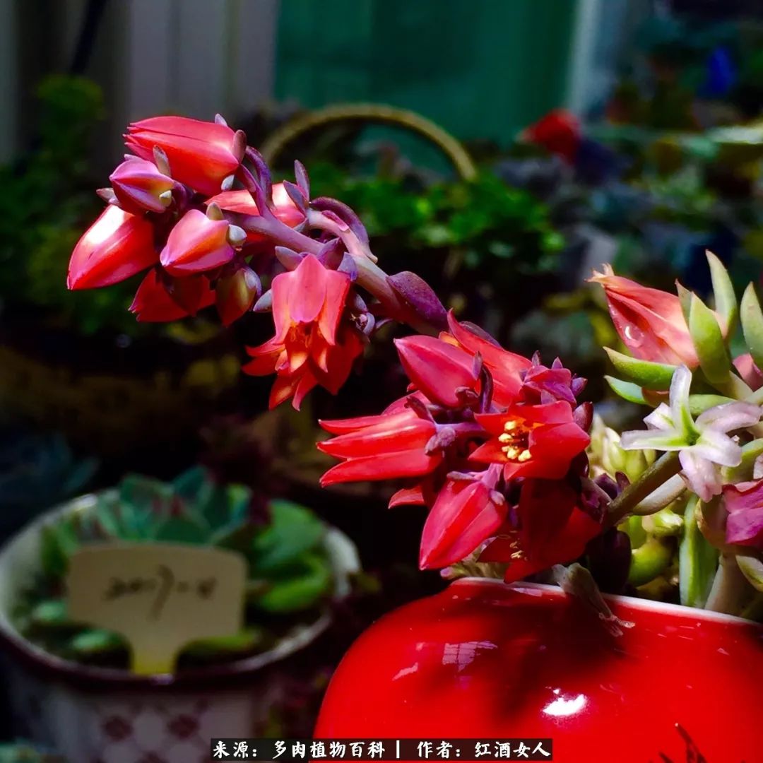 记录走过的美景留下美好的回忆,记录走过的每一段美好时光