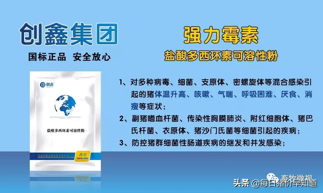 猪场流行拉稀病,冬天猪场全部拉稀呕吐怎么办