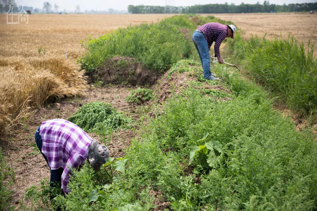 在人间丨情趣内衣小镇的乡村女工，每天往返于工厂与田地之间