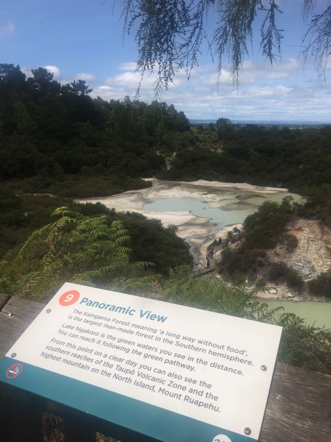 让你不出国就可以拍出欧洲即视感,让你不出家门就能看到江南的美景