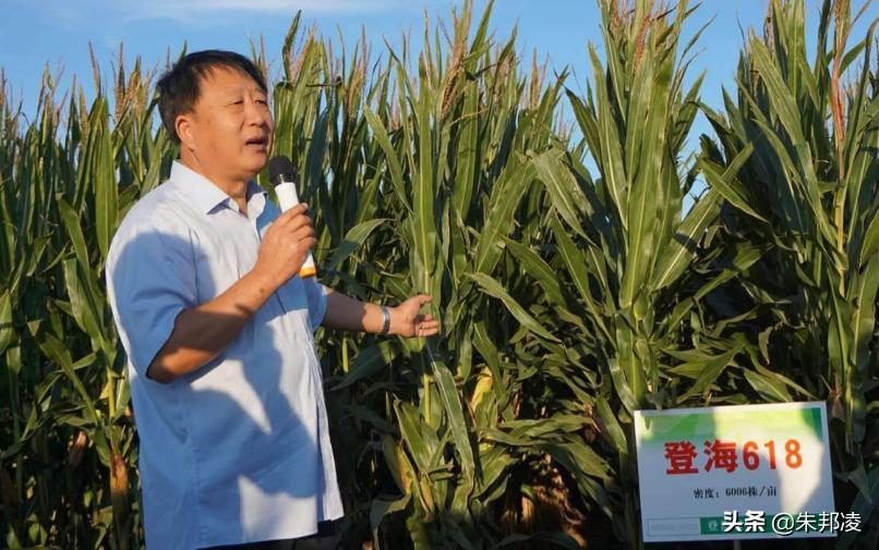 袁隆平玉米,中国农业大国袁隆平