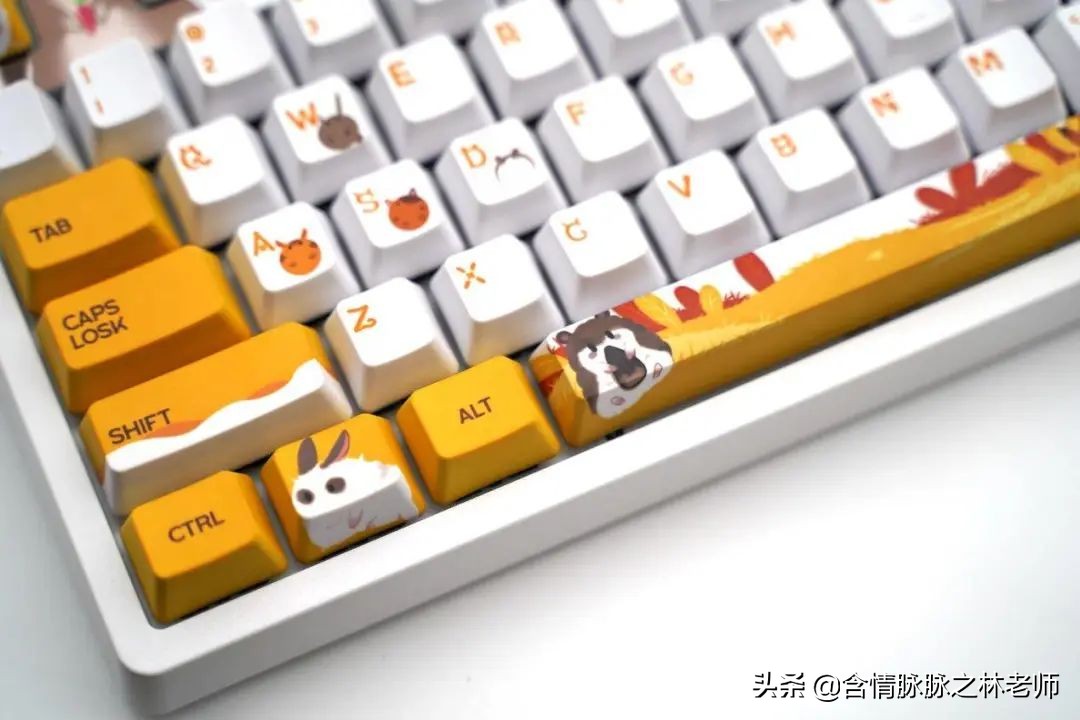 可爱的送给女孩子治愈的礼物,治愈系礼物送女友