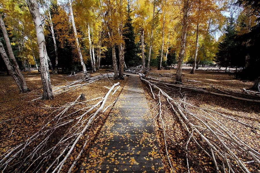 去过18次*疆新**的江南女子，用亲身经历告诉你，*疆新**究竟有多美