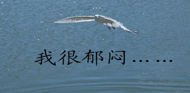 网红奶茶店如何做出自然的奶茶,奶茶网红店铺