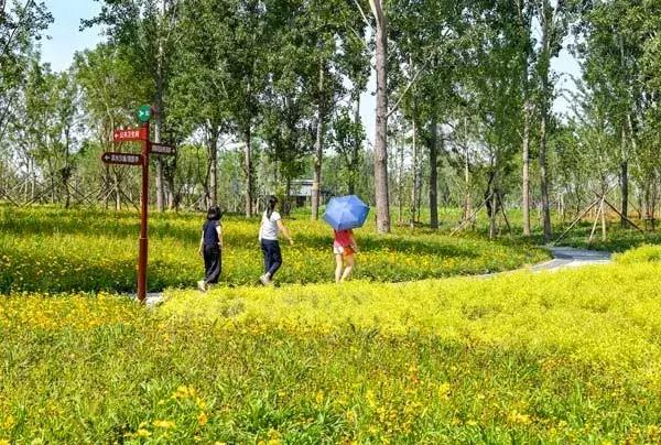 好消息北京石景山八角新乐园,好消息北京朝阳