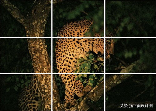 如何用相机拍室内环境,摄影如何拍户外照片