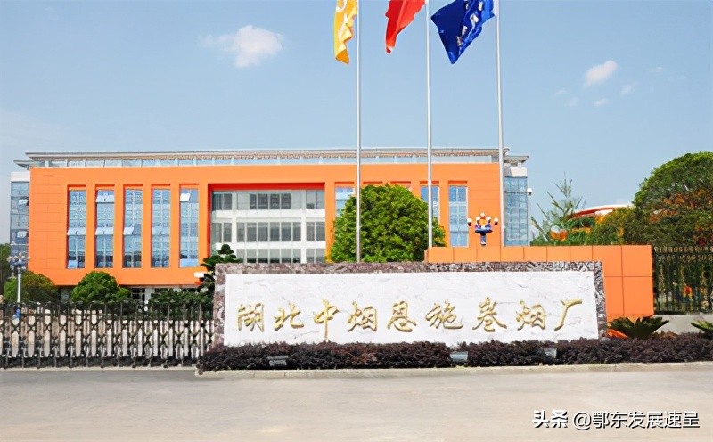 中烟工业下属烟厂排名,湖北有6个烟厂实力排名