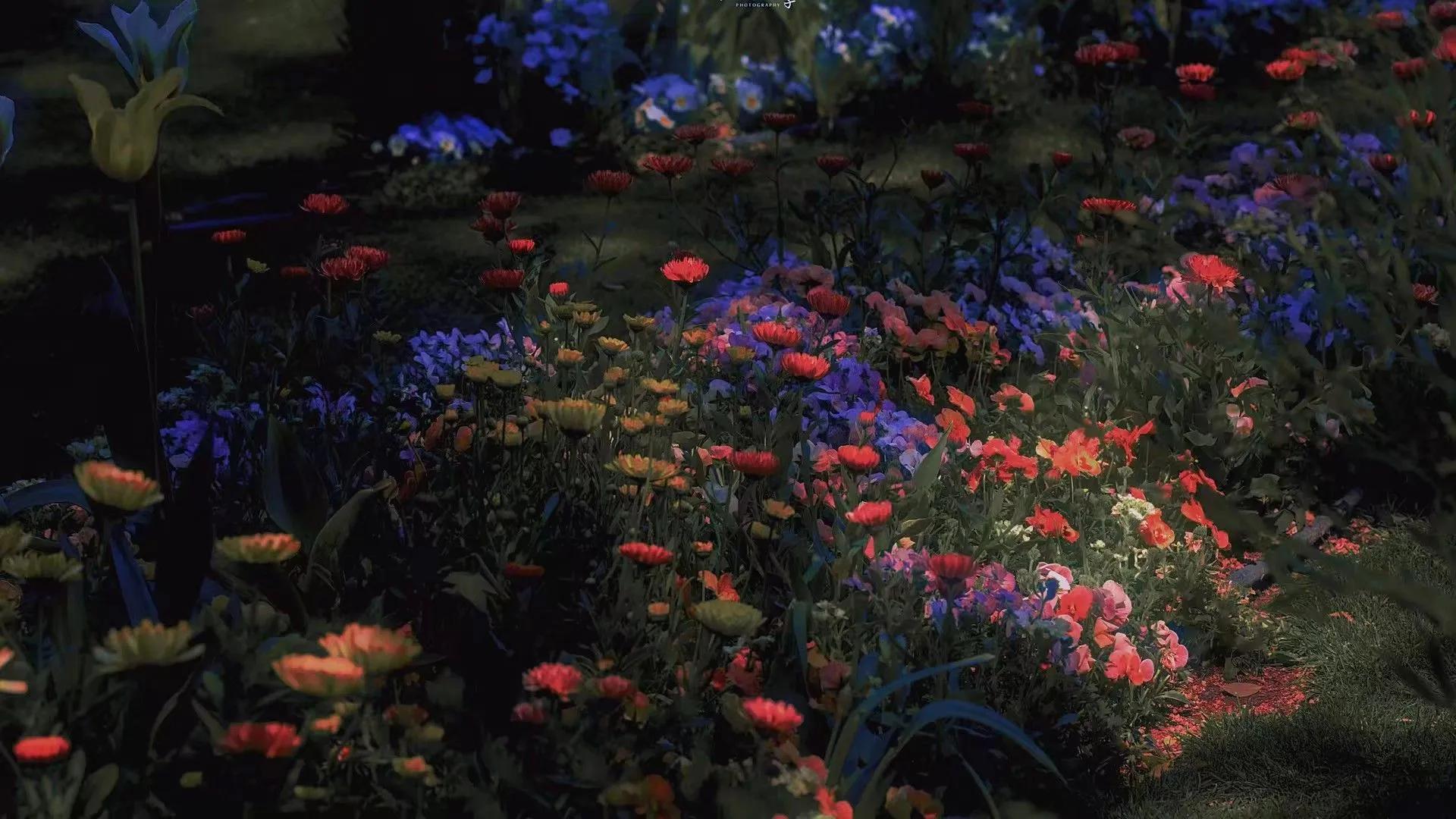 宇航员动态壁纸高清全屏120帧竖屏,太空壁纸高清4k宇航员火箭卡通