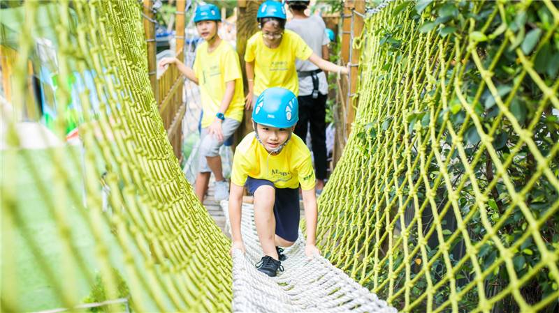 亲子户外丛林探险,儿童丛林探险地方