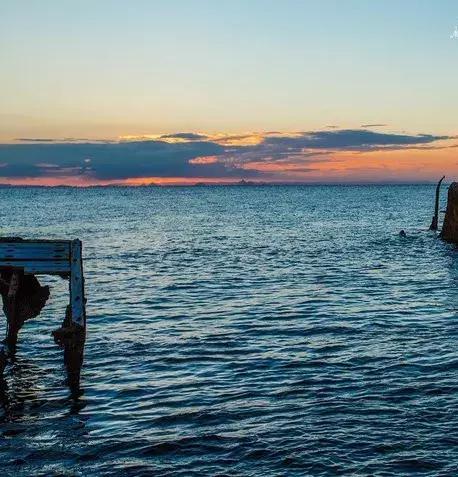 澳大利亚海洋生物旅游,澳大利亚海上游
