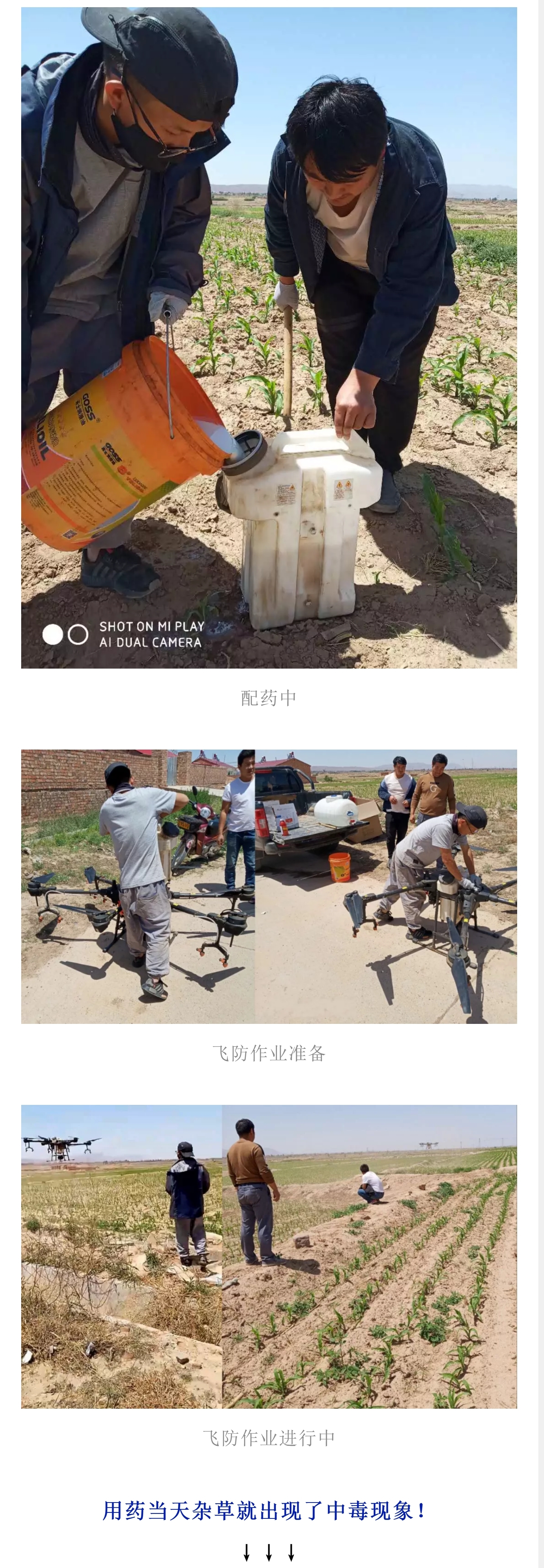 飞防高浓度,飞防7天效果