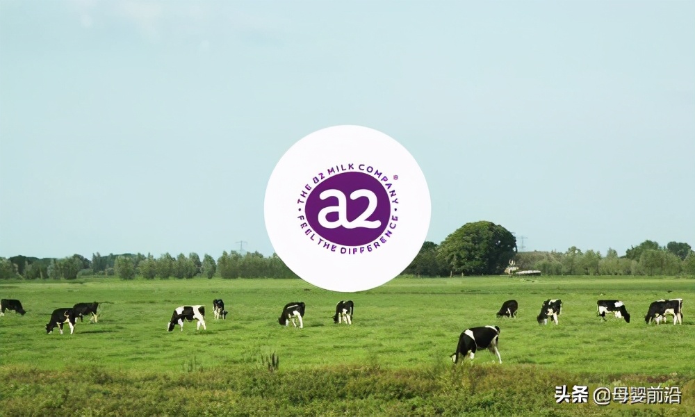 a2在中国市场排名,a2海外国产