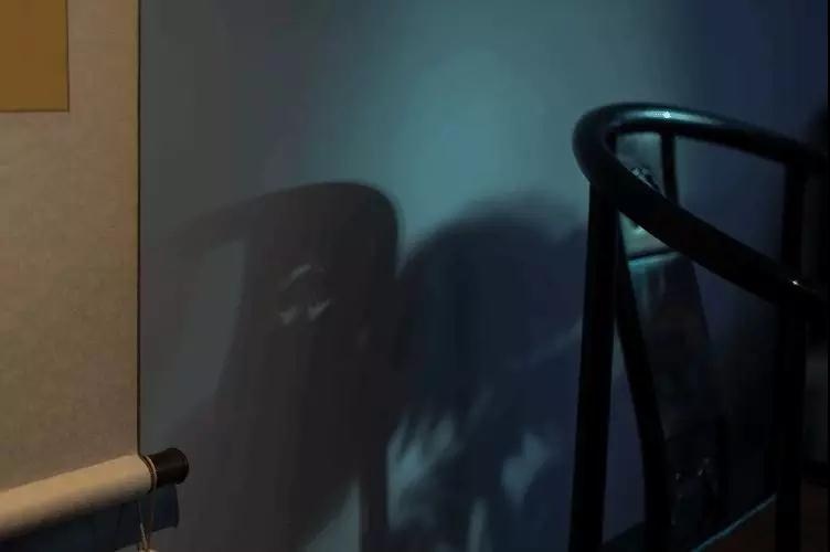 音乐是美育吗,美育是美术吗