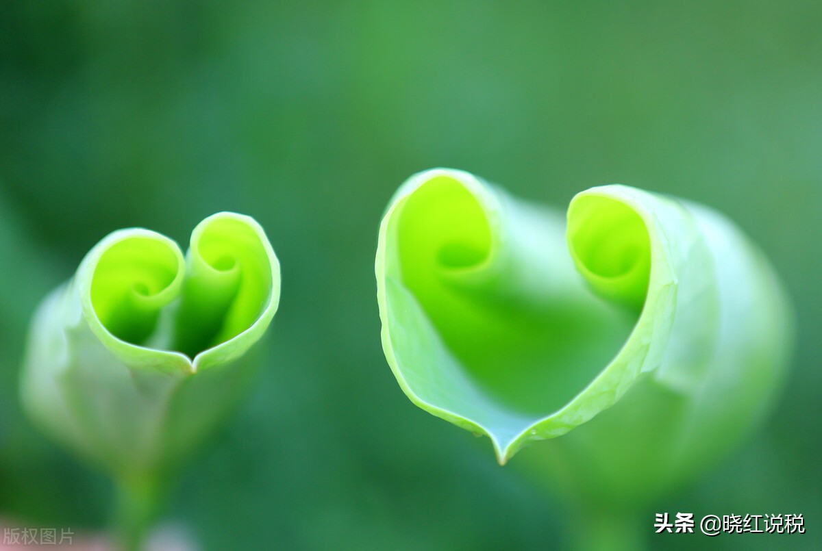 固定资产折旧的净残值怎么算,固定资产折旧的预计净残值口诀