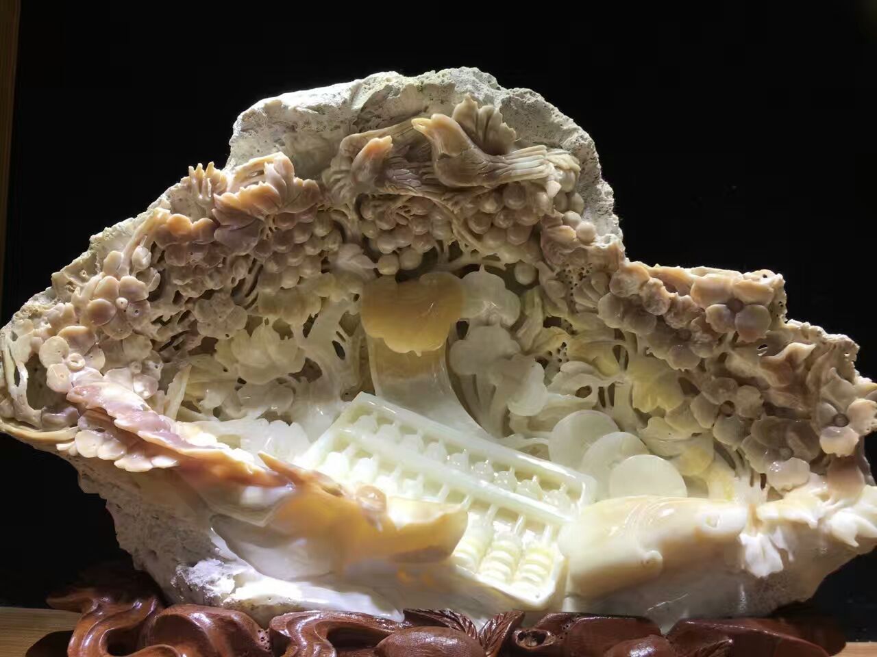 文玩流行的动物制品 (十种野生文玩)