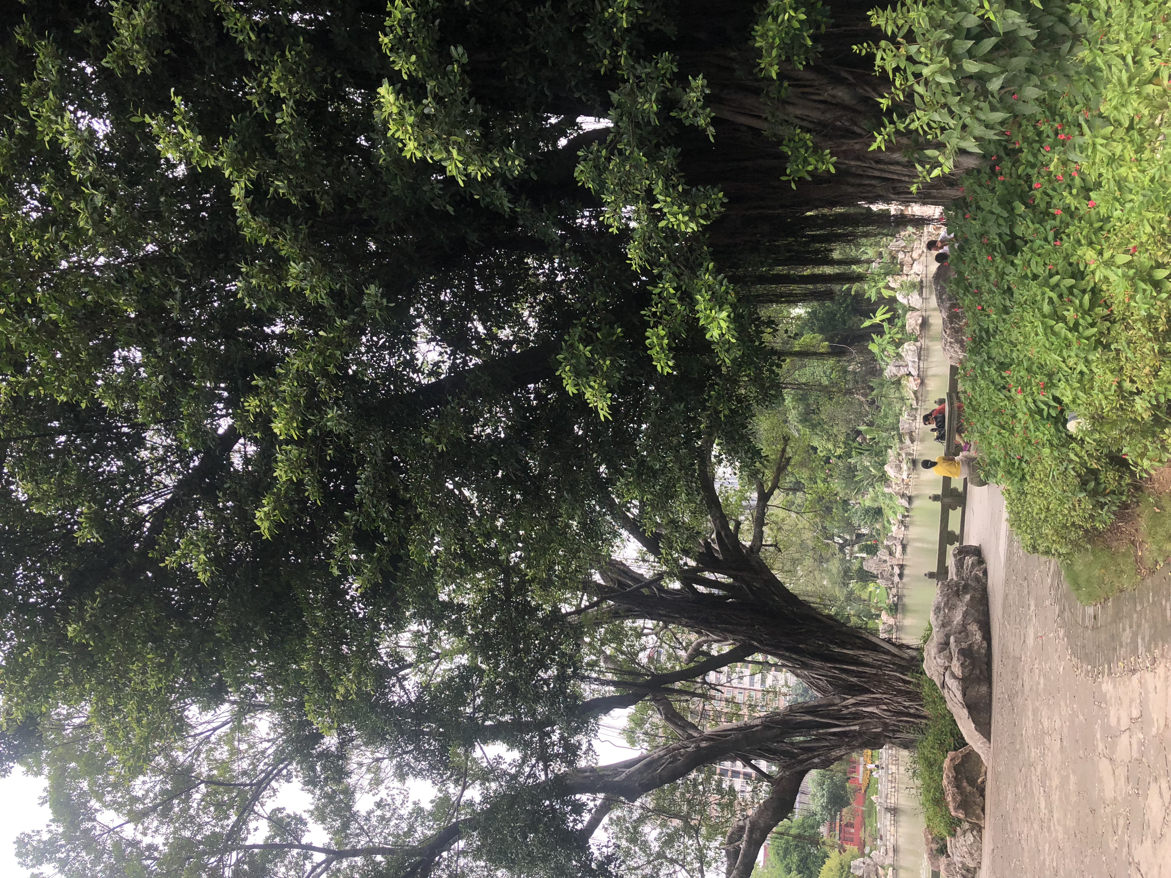 福州王府花园,福州有名的花园