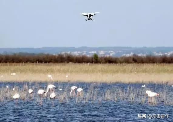 被囚34年取精，被迫亲手杀死爱子，最后只能挣扎着死去…