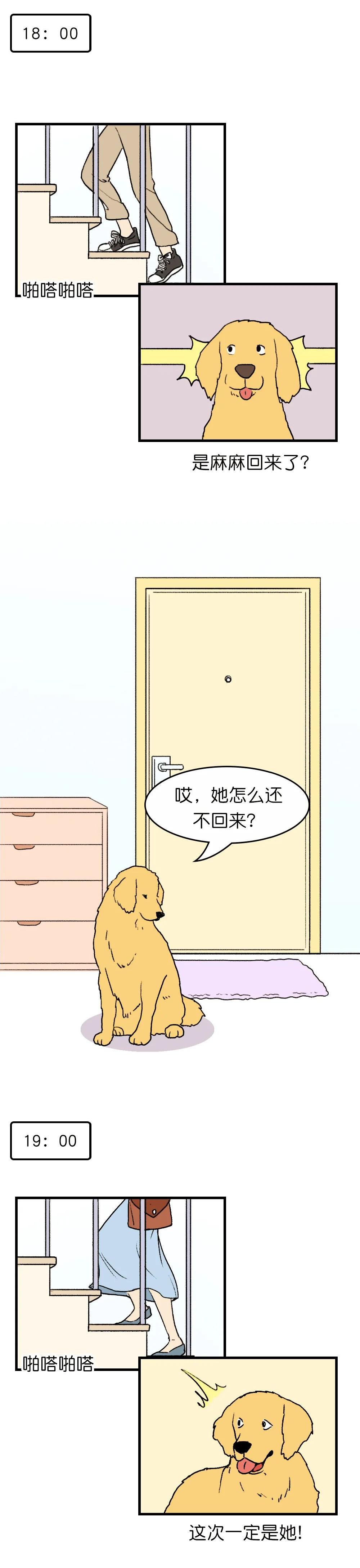 狗子在家来回踱步是什么原因,狗子为什么会很喜欢躲床底下睡觉