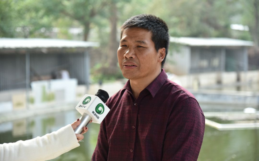 从保护动物到人工养殖，成为美食！鼎湖的绿水青山锻造千万商机